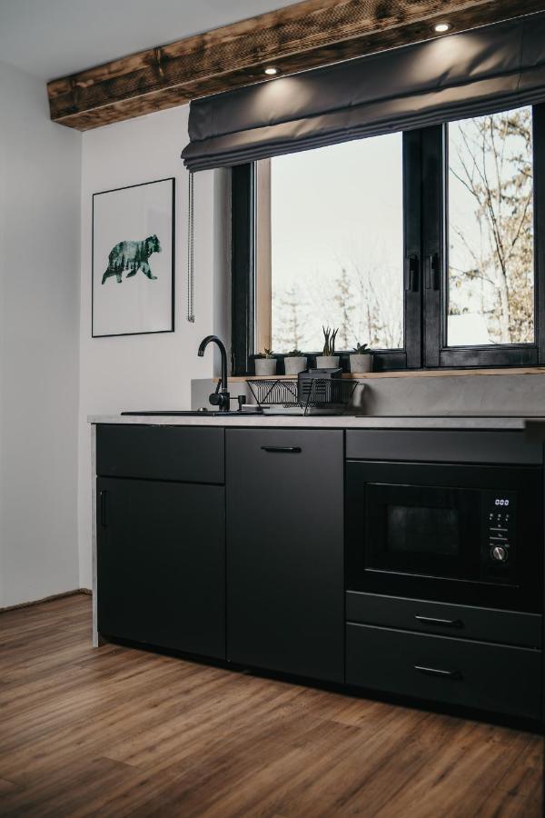 Tatra Loft Διαμέρισμα Ζακοπάνε Εξωτερικό φωτογραφία